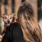 dog, nature, pet